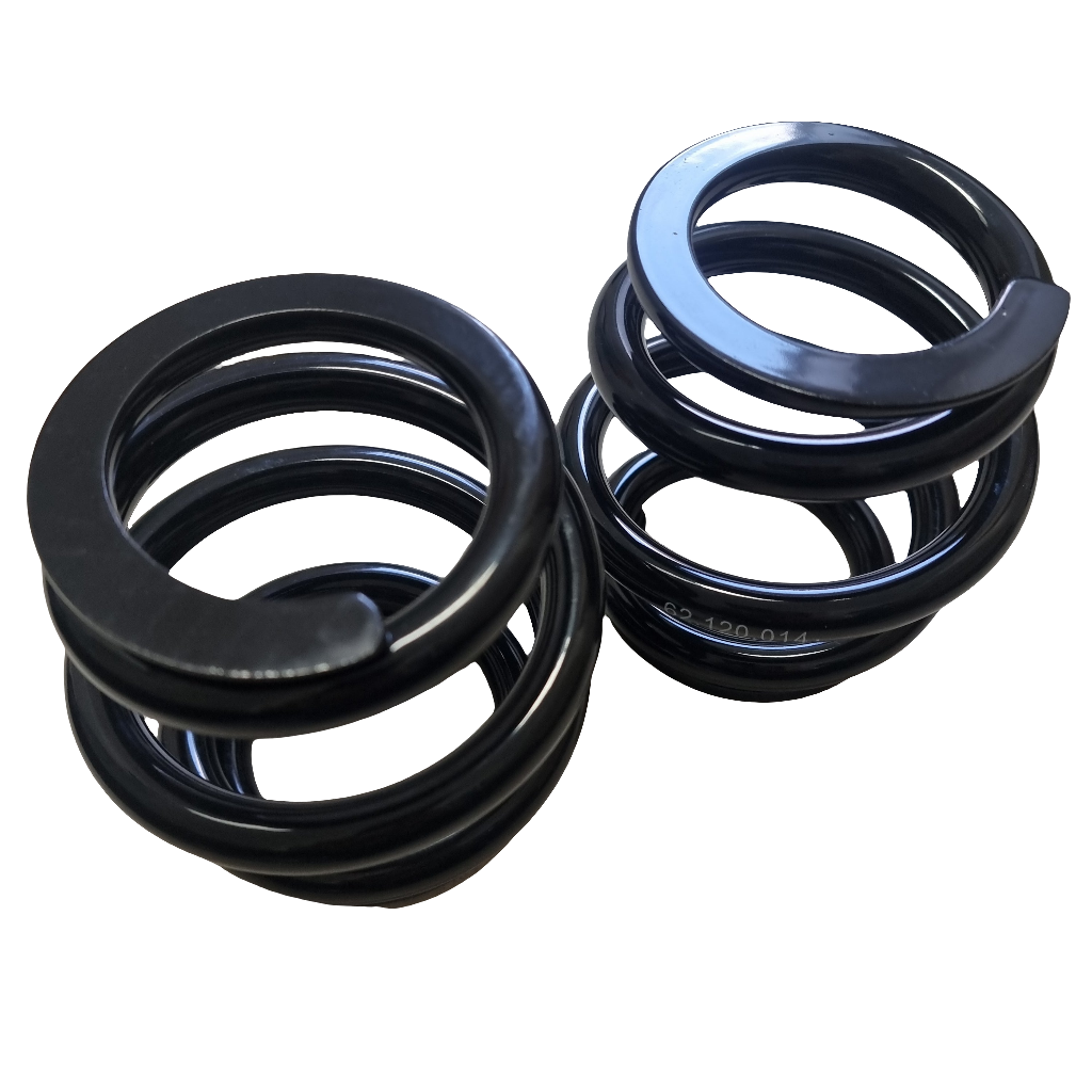 BC racing spring pair 120mm x 12kg