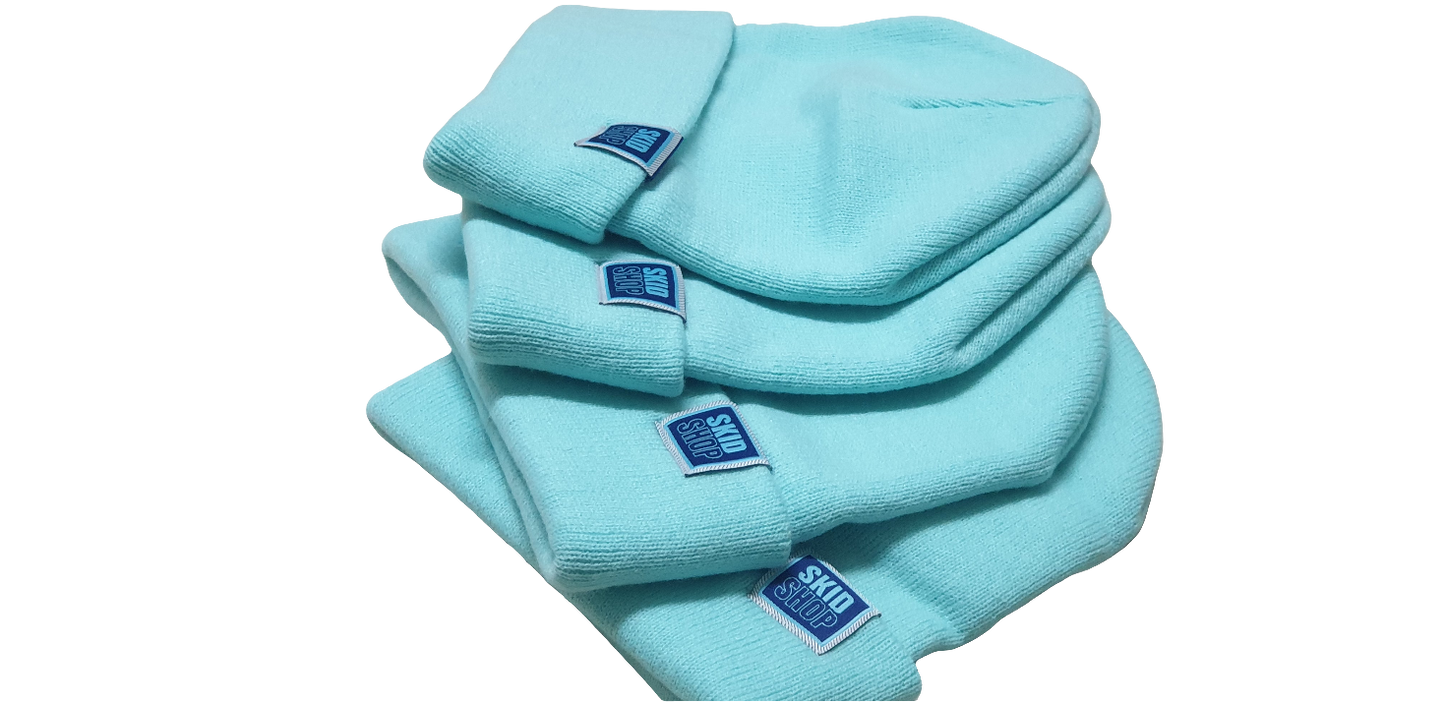 cool mint SKIDSHOP reversible beanie