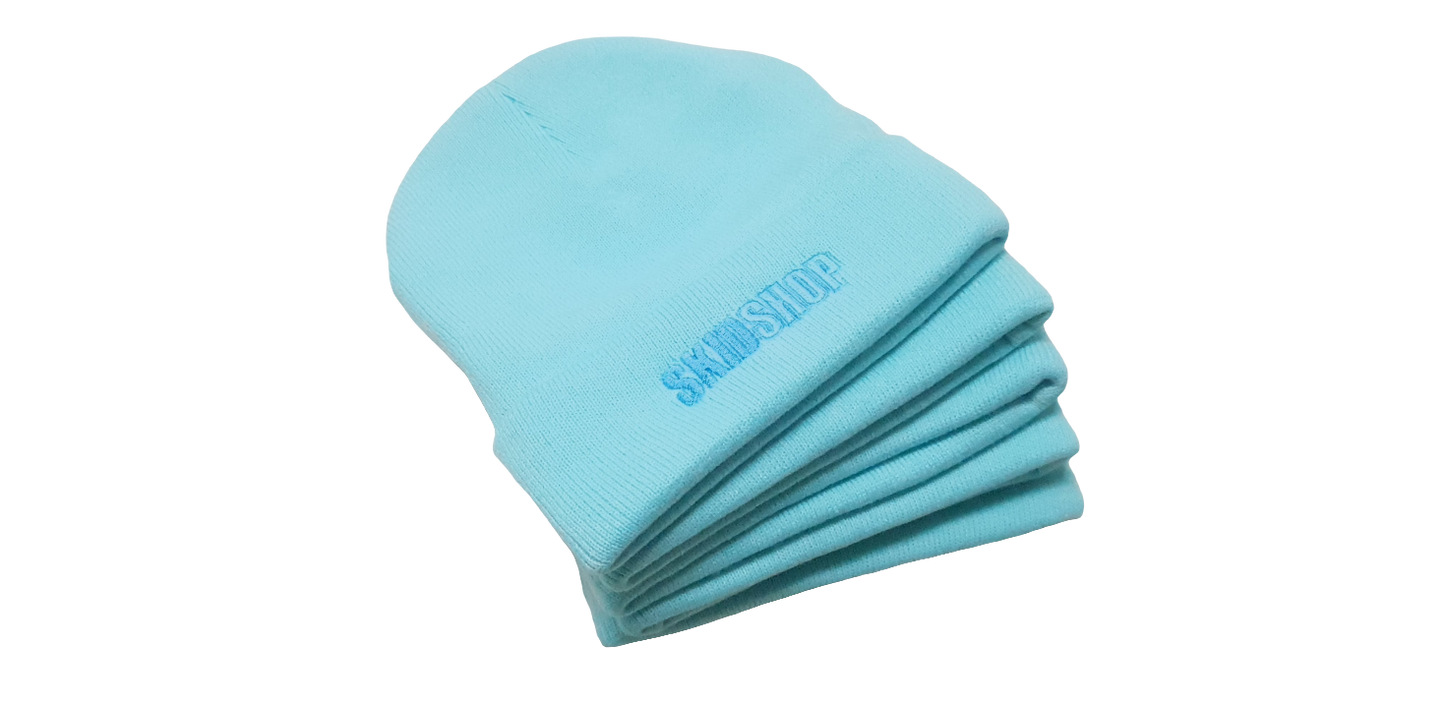 cool mint SKIDSHOP embroidered beanie