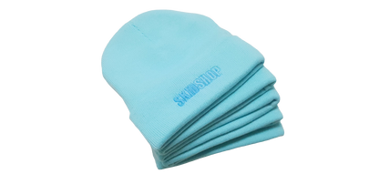 cool mint SKIDSHOP embroidered beanie