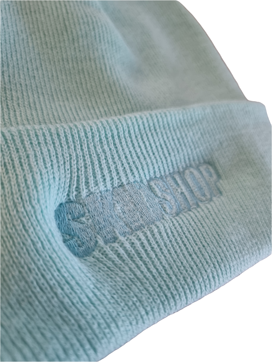 cool mint SKIDSHOP embroidered beanie