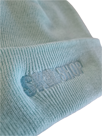 cool mint SKIDSHOP embroidered beanie