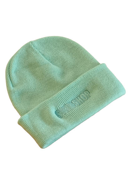 cool mint SKIDSHOP embroidered beanie