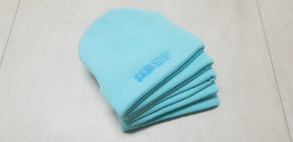 cool mint SKIDSHOP embroidered beanie