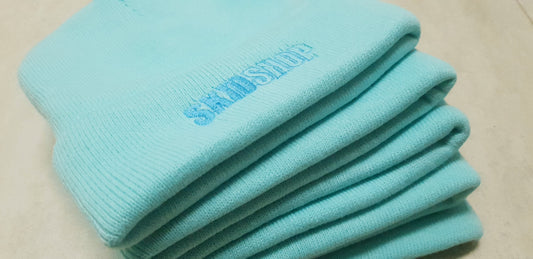 cool mint SKIDSHOP embroidered beanie