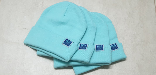 cool mint SKIDSHOP reversible beanie